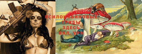 mdpv Алексин