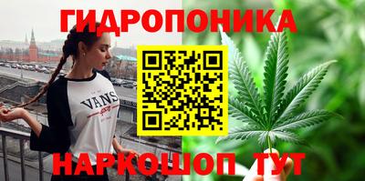 сатива Тулун