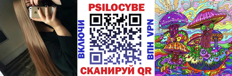 купить   Новоуральск  Галлюциногенные грибы Psilocybine cubensis 