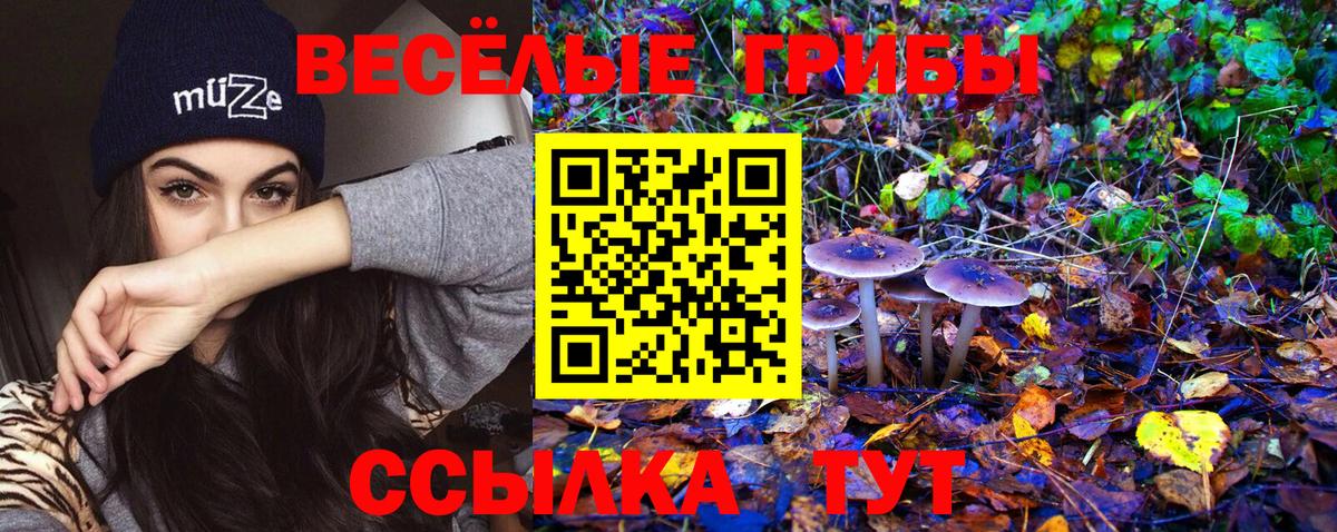 Галлюциногенные грибы мухоморы  Псилоцибиновые грибы ЛСД  Новоуральск  Вход с VPN 