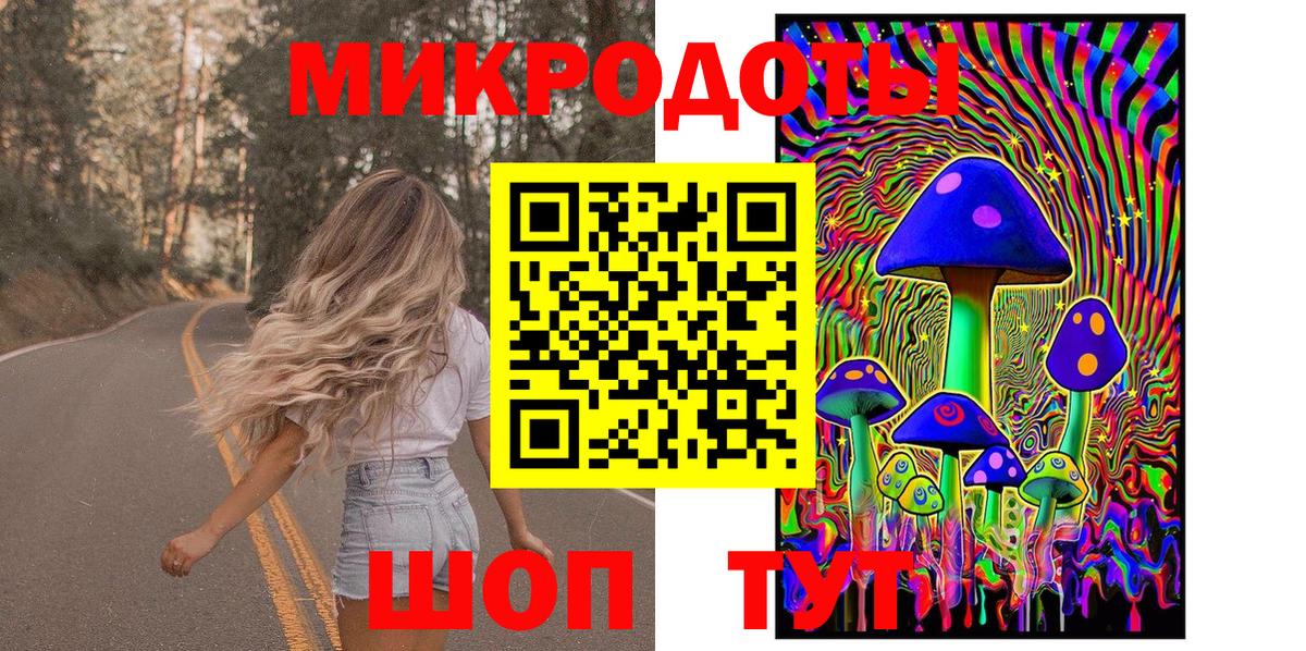 Псилоцибиновые грибы Cubensis Новоуральск